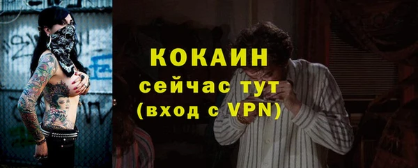 шишки Армянск