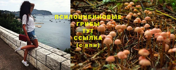 гашик Арсеньев