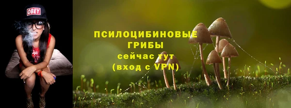 гашик Арсеньев