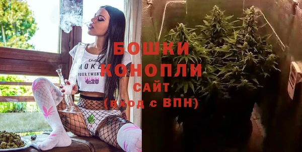 твердый Аркадак