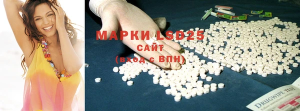 твердый Аркадак