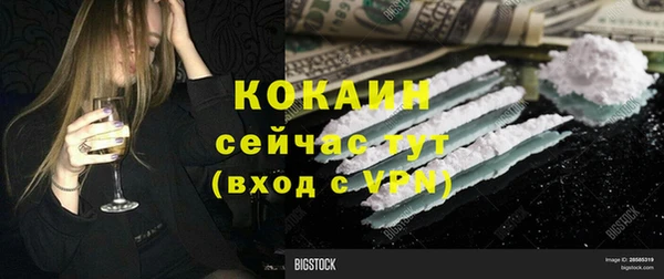 твердый Аркадак
