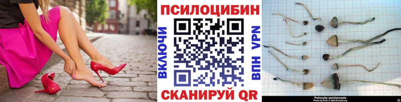 Галлюциногенные грибы Cubensis  сайты даркнета официальный сайт  Циолковский 